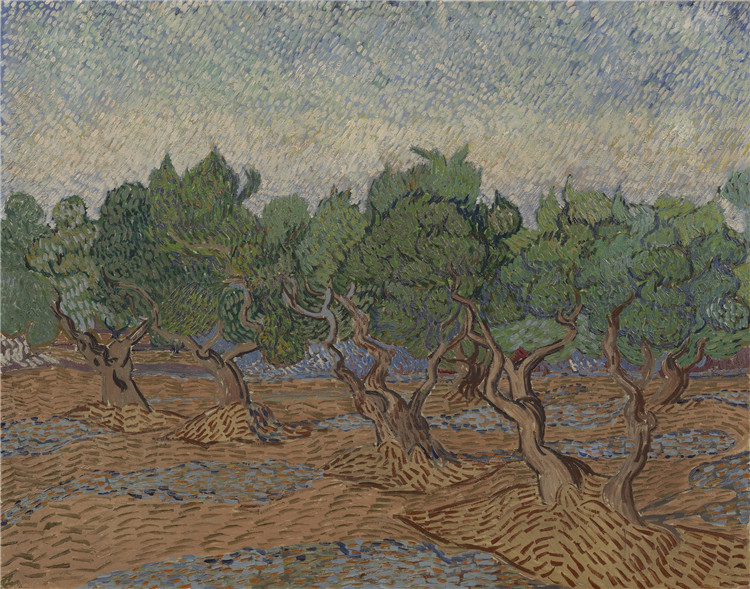 Olive Grove 1889 2 Vincent Willem Van Gogh Oil Painting